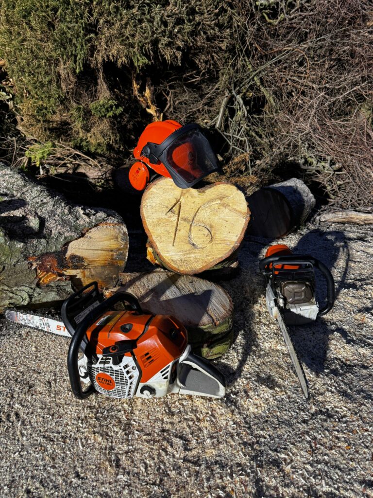 Ausbildung TH-Wald Praxis