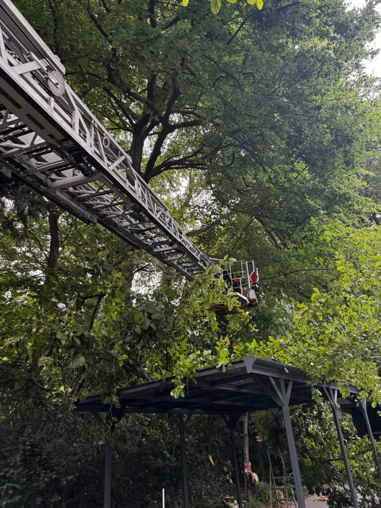 Schnitt des Baumes aus der Drehleiter.