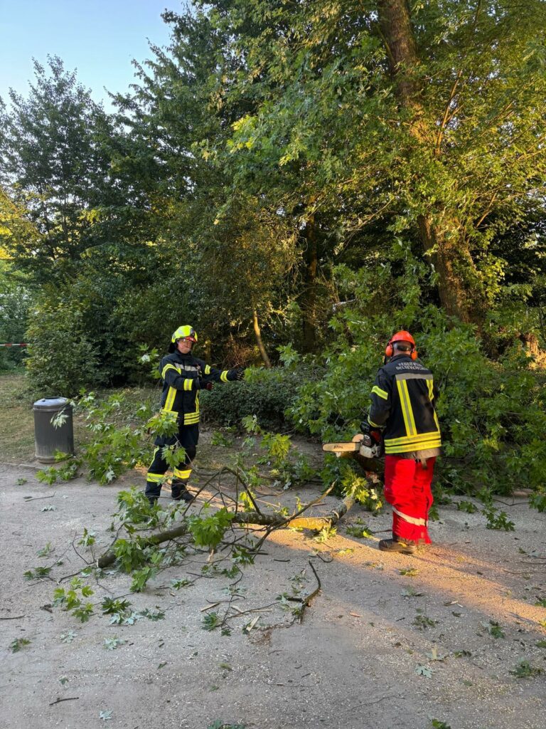 Baumsägearbeiten an der Einsatzstelle.