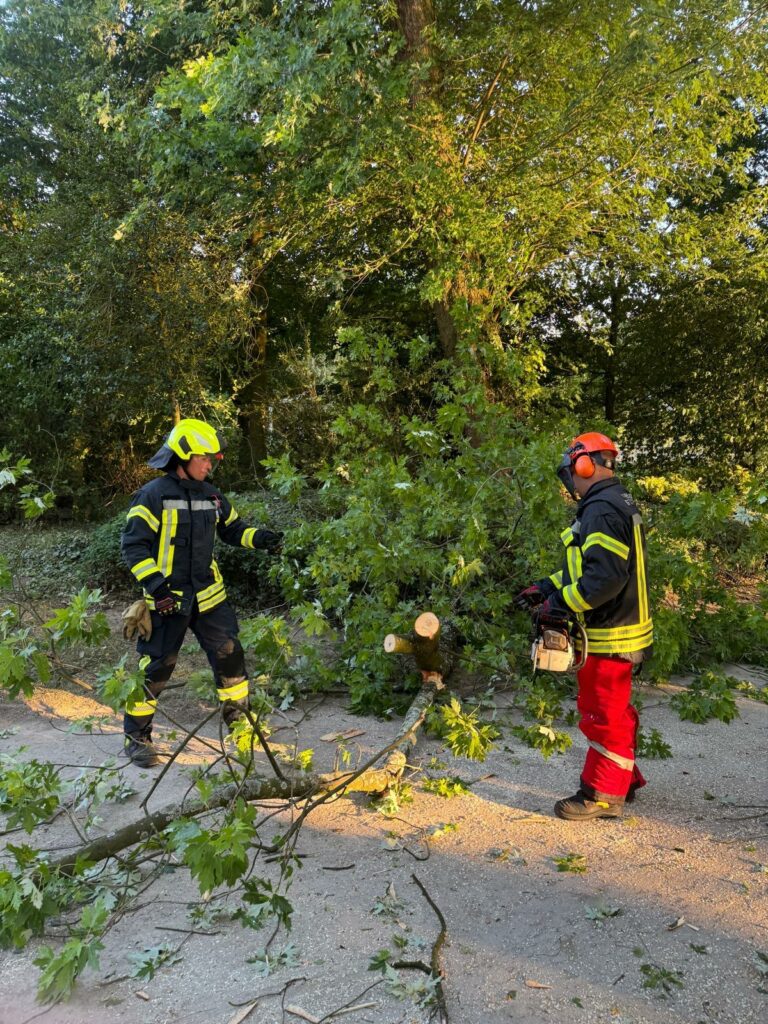 Baumsägearbeiten an der Einsatzstelle.