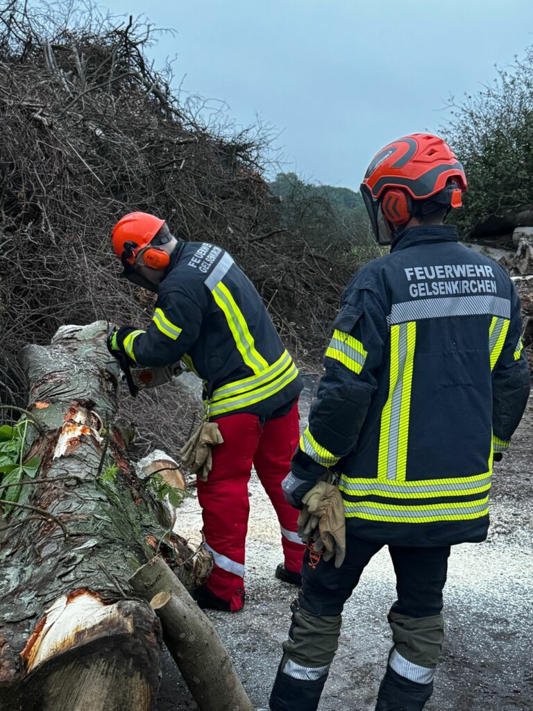 Ausbildung TH-Wald Praxis