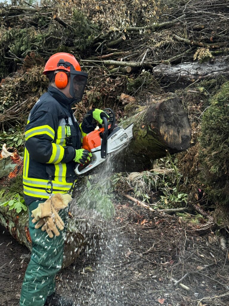 Ausbildung TH-Wald Praxis